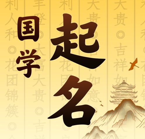 三穗国学起名 人工起名一对一
